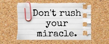 How to Look at Revision: Don't Rush Your Miracle.